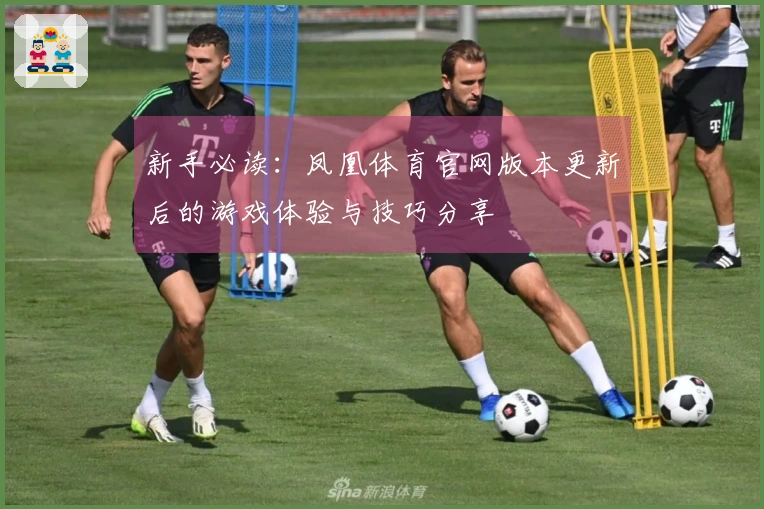 新手必读：凤凰体育官网版本更新后的游戏体验与技巧分享